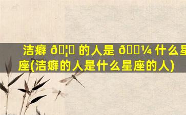 洁癖 🦅 的人是 🌼 什么星座(洁癖的人是什么星座的人)